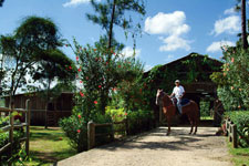 Belize-Interior-Blancaneaux Lodge